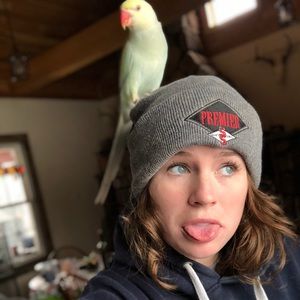 Meet your Posher, Miranda